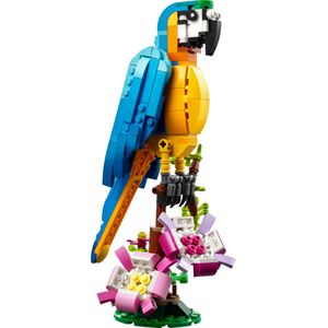 LEGO Creator 3in1 Exotische Papegaai - Kikker - Vis Dieren Speelgoed Set voor Kinderen - 31136
