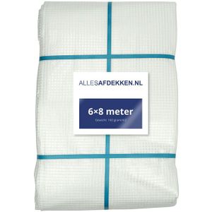 Afdekzeil transparant gewapend 160 g/m² 6 x 8 m Transparant