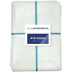 Afdekzeil - Transparant - Gewapend - 240 g/m² - 4 x 6 m