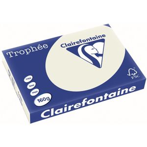Clairefontaine Trophée Pastel, gekleurd papier, A3, 160 g, 250 vel, parelgrijs