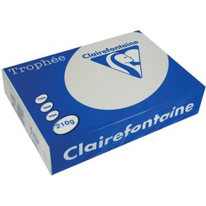 Clairefontaine Trophée Pastel, gekleurd papier, A4, 210 g, 250 vel, lichtgrijs