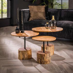 GM Salontafel Boomstam Voet Acacia Naturel Set Van 3 - Acaciahout - 60x60x50cm