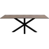 Eettafel Axel Rechthoek Keramiek Bruin 200cm - Giga Living - Keramiek