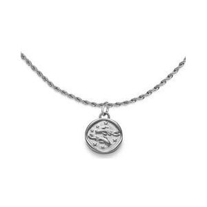 Graveer collier sterrenbeeld vissen, marinium ocean steel