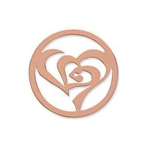 Munt roestvrij staal gestileerd hart roségoud