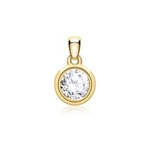 14 karaat gouden hanger voor dames met Diamant