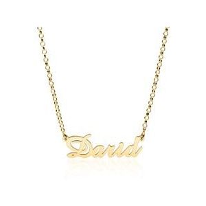 Naamketting in 14k geel goud selecteerbare kettingen