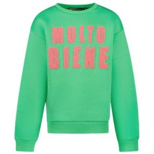 CARS : Sweater ronde hals tekstprint