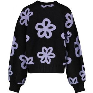 CARS :  Comfortabele sweater ronde hals