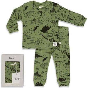 FEETJE : Super leuke pyjama in organisch katoen met dino print