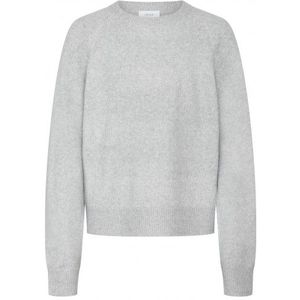 GRUNT : Leuke pull met lange mouwen