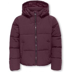KIDS ONLY : Puffer jacket