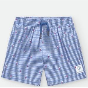 WATERLEMON : Losse zwemshort met strepen en visjes