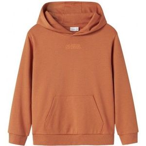 NAME IT : Toffe hoody met backprint
