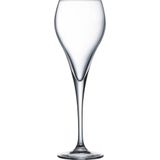Arcoroc Brio - Champagneglazen - Flute - 160ml - Set van 6 glazen - Ultra Helder Glas - Transparant
