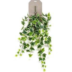 Emerald kunstplant/hangplant - Klimop/hedera - groen/wit - 70 cm lang - Levensechte kunstplanten