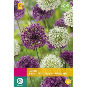 Allium Paars/Wit Mix 12 bollen - JUB