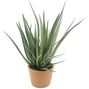 aloe vera 47 cm kunstplant - Buitengewoon de Boet