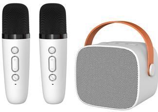 P2 Kinderkaraoke Bluetooth Speaker met 2 Microfoons - Wit