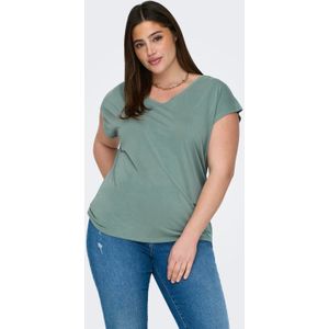 Carnicky Top