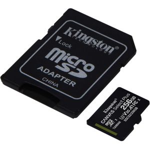 Kingston microSDXC geheugenkaart - 256GB A1 Video Class V30 UHS-I