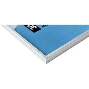 Nielsen Fotolijst 55124 Accent Mat Zilver 40x60 cm