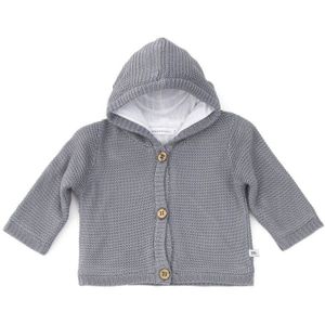 Bamboom Baby Vestje Gebreid Met Capuchon Grijs