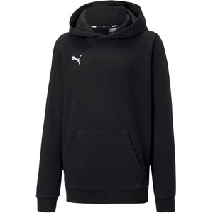 Puma Teamgoal 23 Casuals Kapuzenpullover