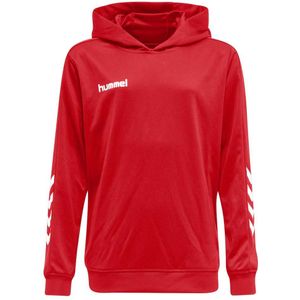 Hummel Promo Poly Kapuzenpullover