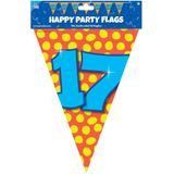 Flagline 17 Jahre Farbig 10m