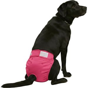 Loopsheidbroekje hond - roze - maat M - voor middelgrote teefjes - herbruikbaar - hondenbroekje - hondenluier - loopsheid - ongesteldheid - voorkomt ongewenste zwangerschappen bij teefjes - milieuvriendelijk - verantwoord - perfecte pasvorm