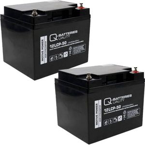 Q-Batteries Vervangende Batterij Voor Bischoff &