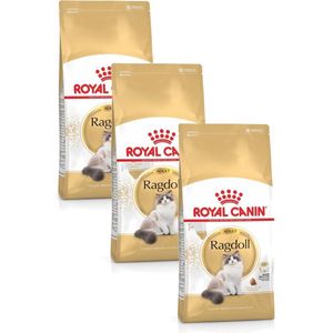 Royal Canin Ragdoll Adult - Kattenvoer - 3 x 2 kg