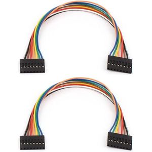 - 2 stuks 2.54mm Pitch 8 Pin Vrouwelijke naar Vrouwelijke Breadboard Jumperdraad 20cm - Handig inzetbaar bij elektronicaexperimenten