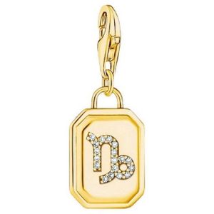 Thomas Sabo - 2164-414-39 - Charm-hanger - Geel Goud - Charm Club