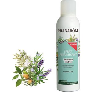 Spray - Ravintsara - Tea Tree - Natuurlijke Essentiële Oliën