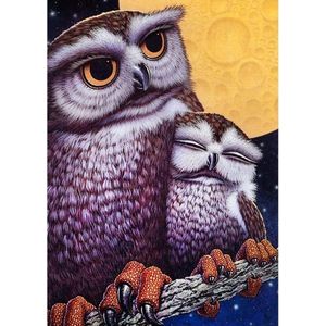 Diamond painting kit ""Owls