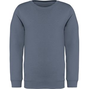 Native Spirit Ecologische kindersweater met ronde hals NS403 - Mineral Grey - 12/14 years (12/14 ans)