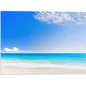 WallClassics - Vlag - Strand met Licht Blauwe Zee - 40x30 cm Foto op Polyester Vlag