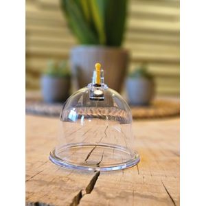 Hijama-Cupping cups B2 diameter 6 cm premium kwaliteit