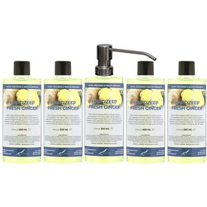 Handzeep Fresh Ginger 500 ml - set van 5 stuks - met gratis RVS zilverkleurige pomp - Voordeelverpakking