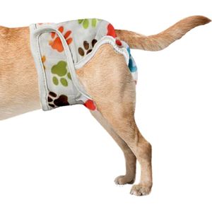 Loopsheidbroekje hond - Pootjes motief - Maat L - Verstelbaar 36-46 cm - Voor grotere honden - Herbruikbaar - Hondenluier