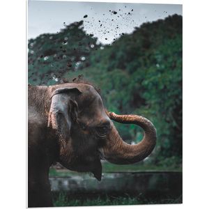 WallClassics - PVC Schuimplaat- Blije Olifant met Gekrulde Slurf in Bos - 60x80 cm Foto op PVC Schuimplaat