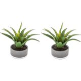 Set van 2x Stuks Atmosphera Kunstplanten In Pot van Cement 22 cm - Nepplanten