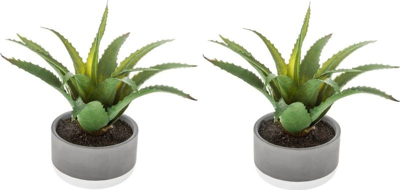 Set van 2x Stuks Atmosphera Kunstplanten In Pot van Cement 22 cm - Nepplanten