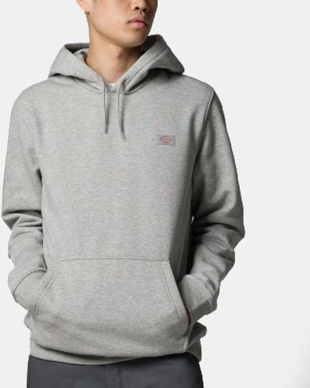 Dickies Oakport Hoodie Grijs Man
