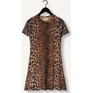Catwalk Junkie - Felina - Jurk - Beige - Katoen