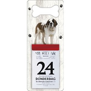 Scheurkalender 2024 Hond: Sint Bernard