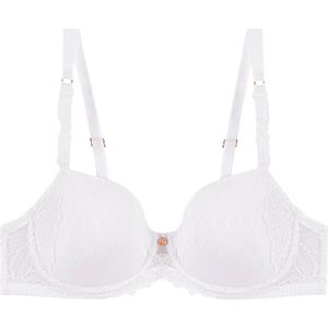 Triumph - Azalea Florale - BH