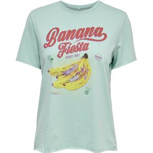 ONLLUCY - REG S/S FRUIT TOP BOX CS JR - Pastel Turqu - Tops